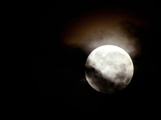 moon-11.August